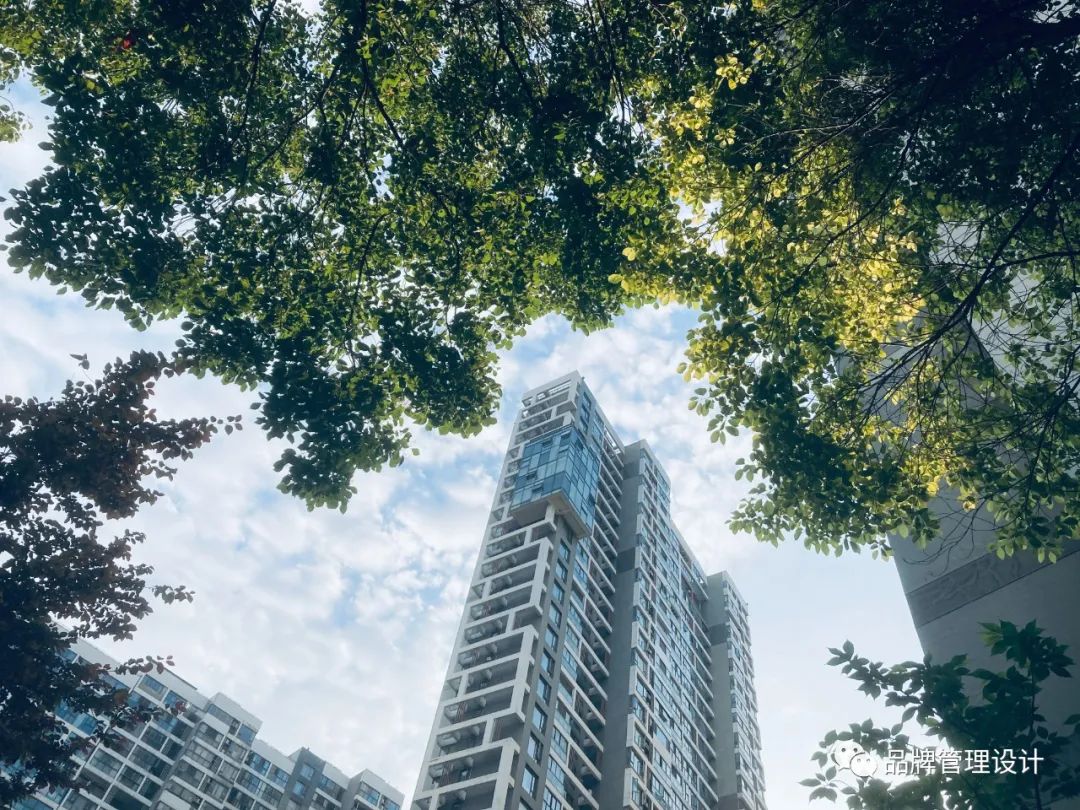 1685418010899044.jpg 1.jpg