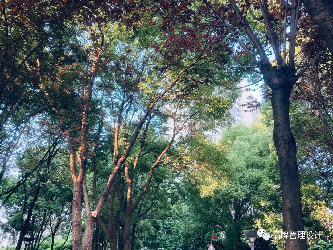 1685418051423549.jpg 2.jpg