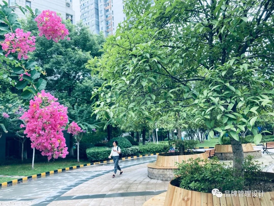 1698800473597357.jpg 01.jpg